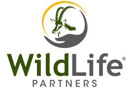 Wildlife logo